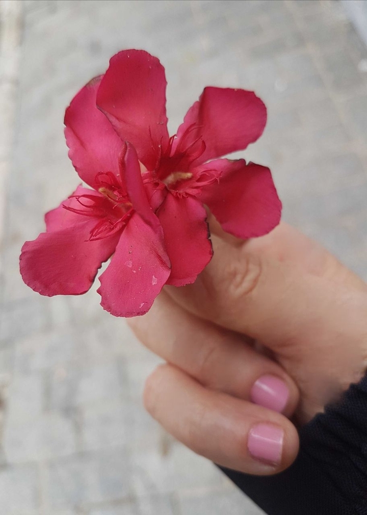 para você