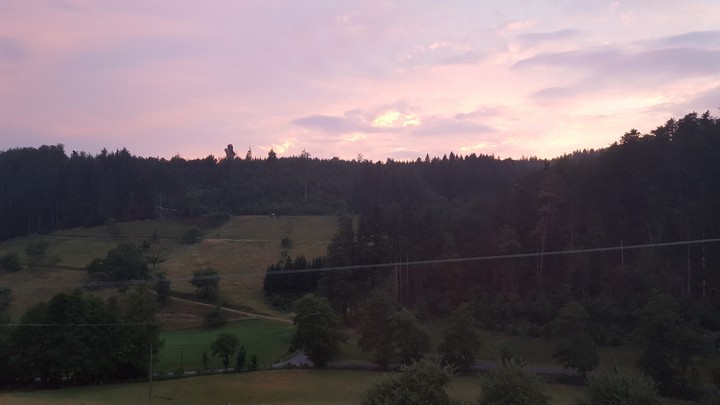 Der schwarz Wald