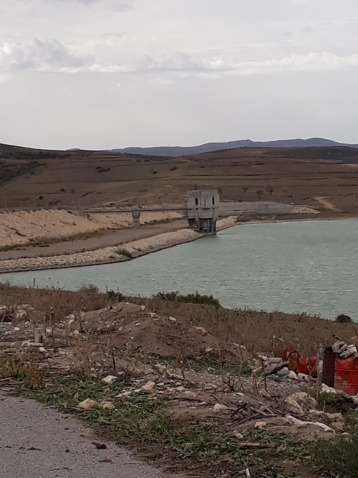 011