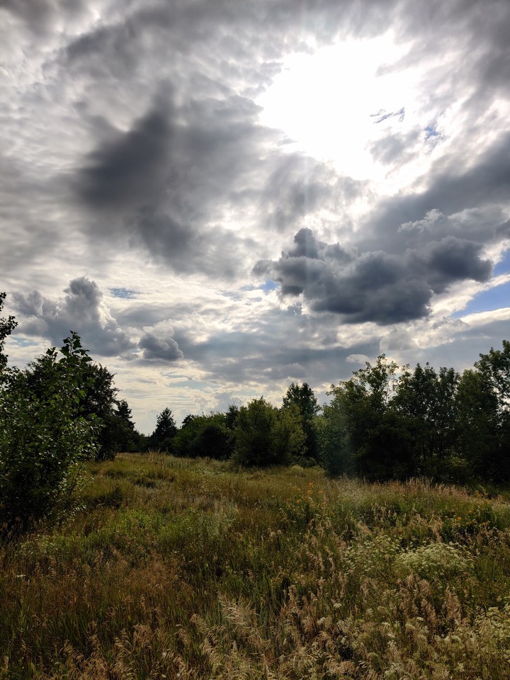 summer,nature, sky