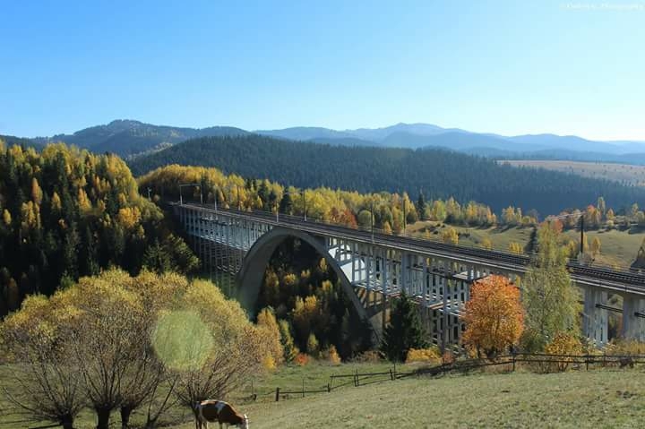 Bridge