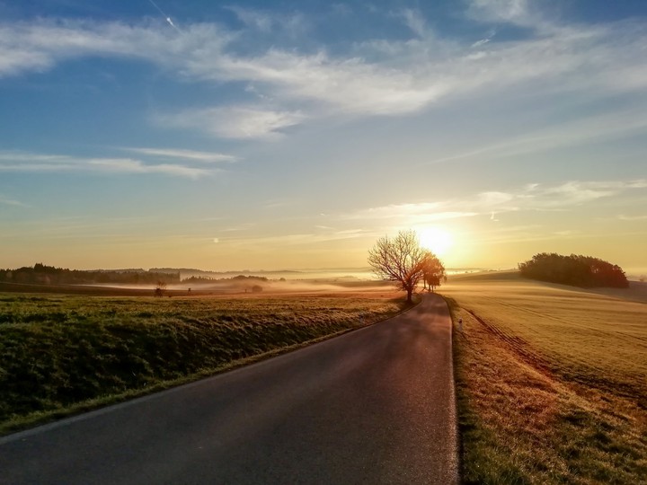 autumn's morning