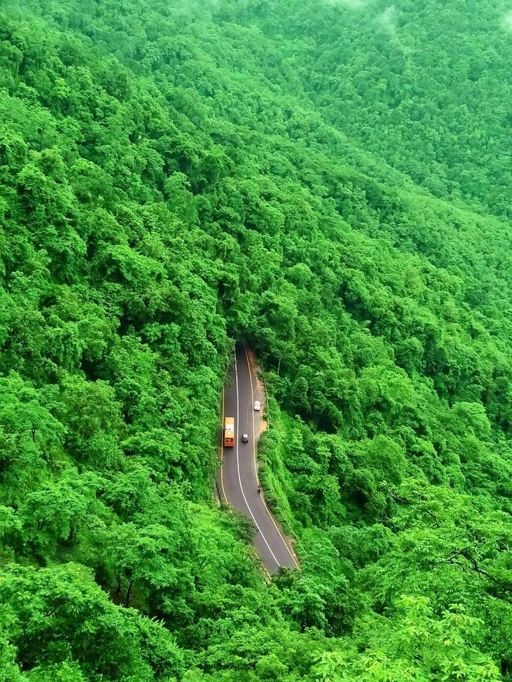 Greenery