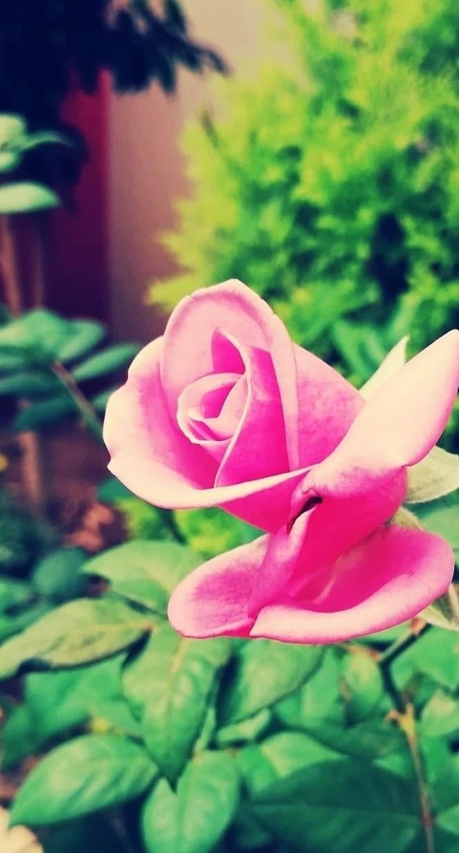 pretty things! ?