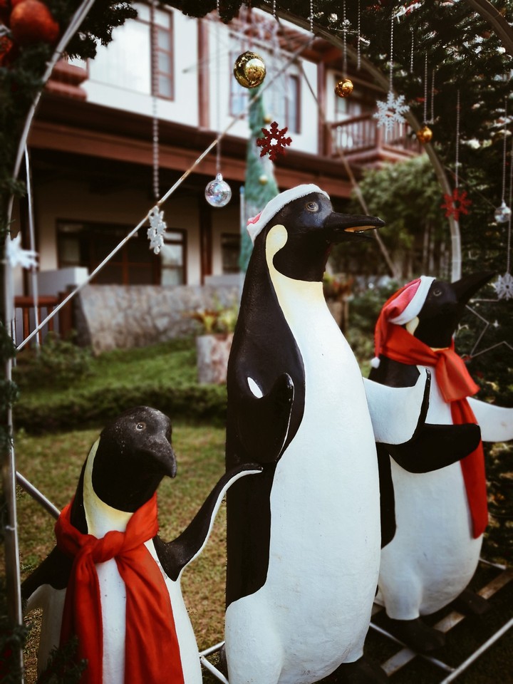 christmas penguins