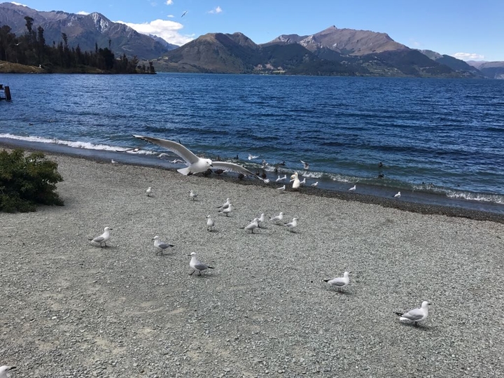 Lakeside