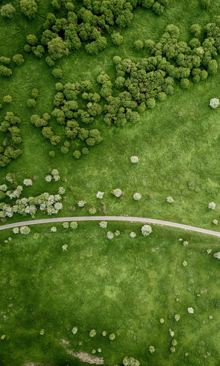 nature