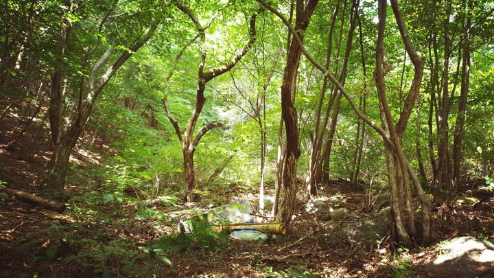 풍경
