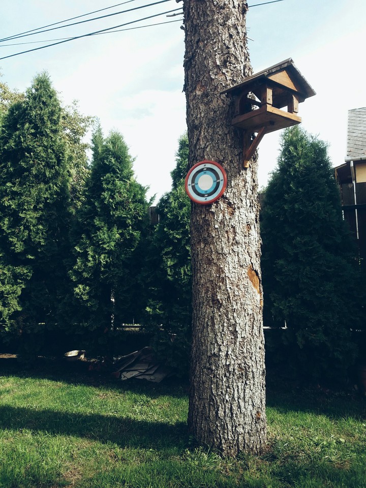 tree