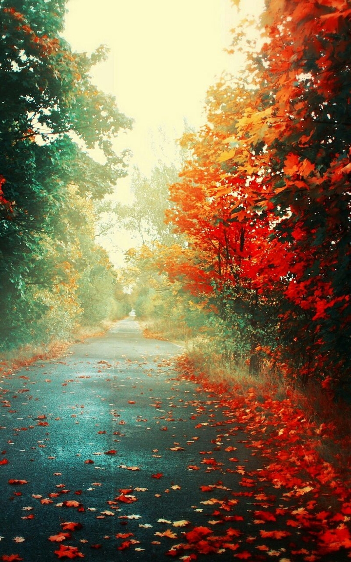 Fallen Leaves