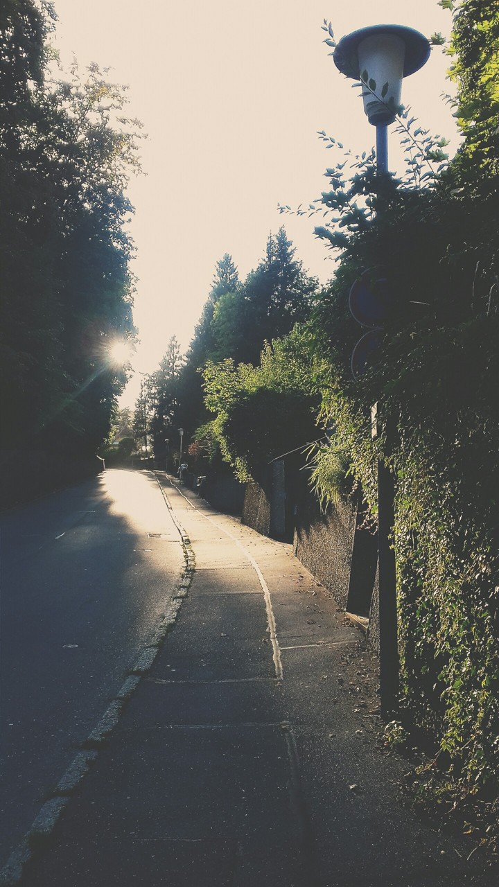 Sunshine in the afternoon