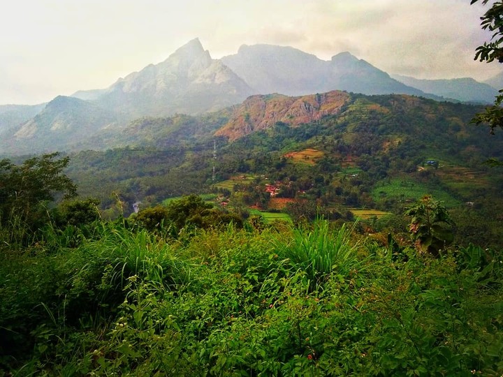 Nature