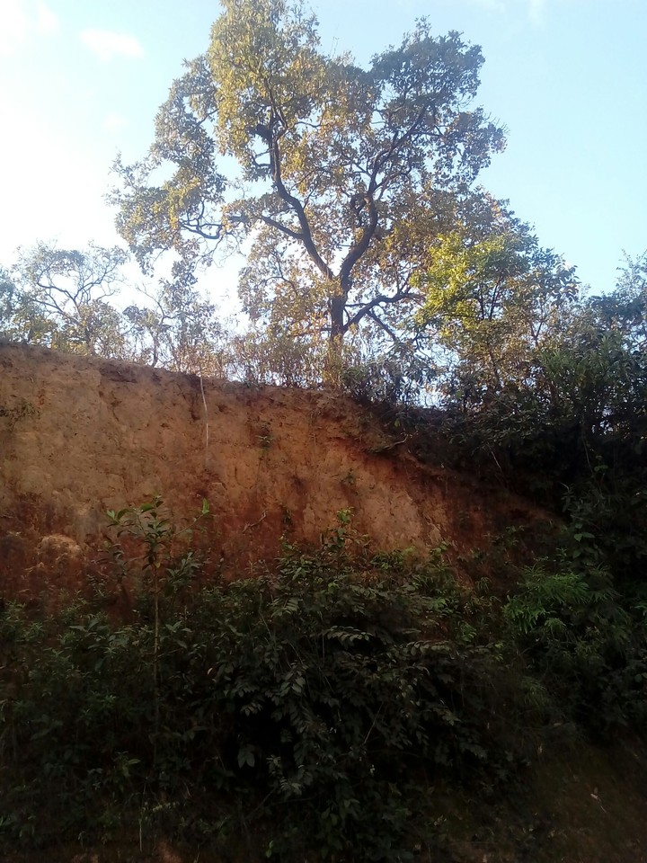 Natureza