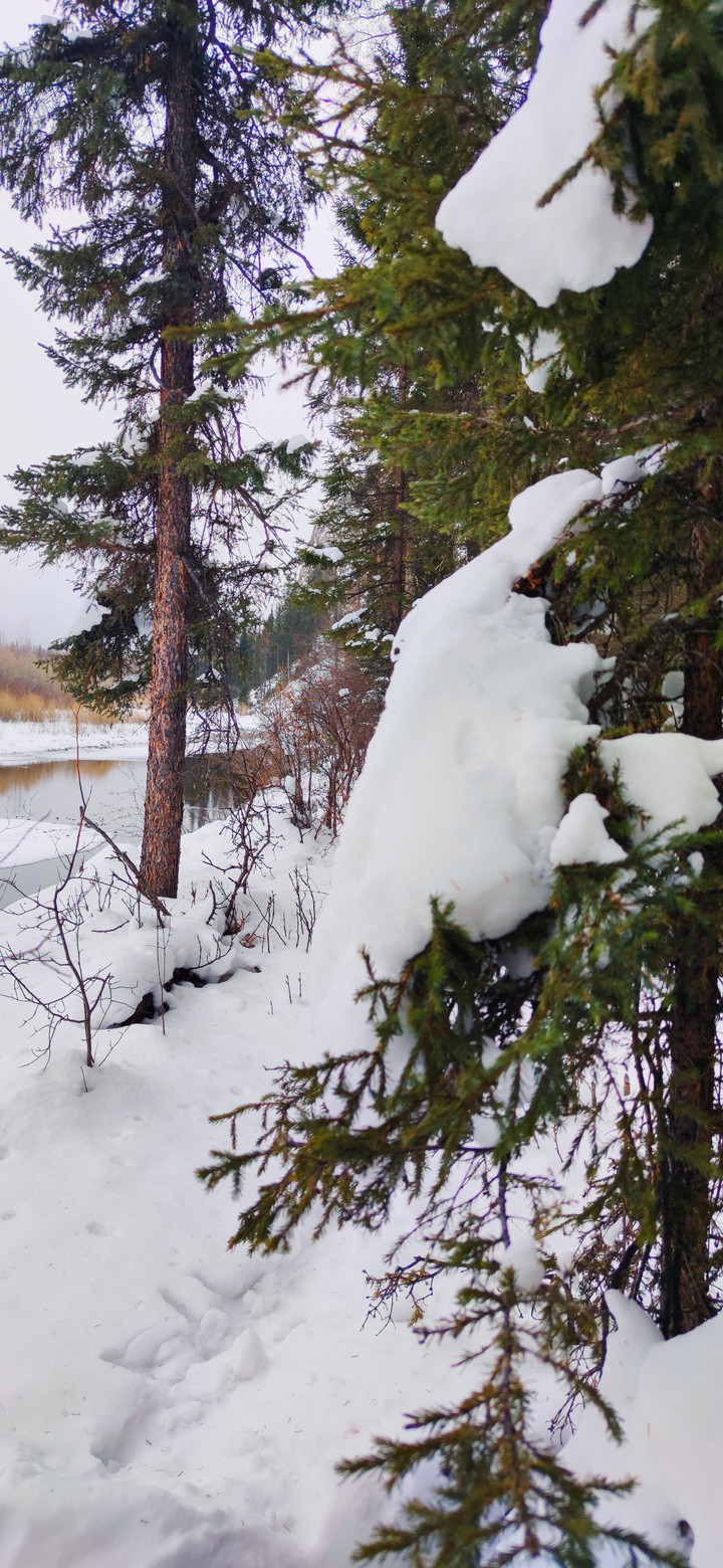 Winter