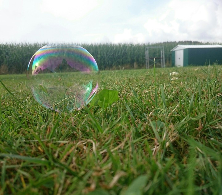 soap ball