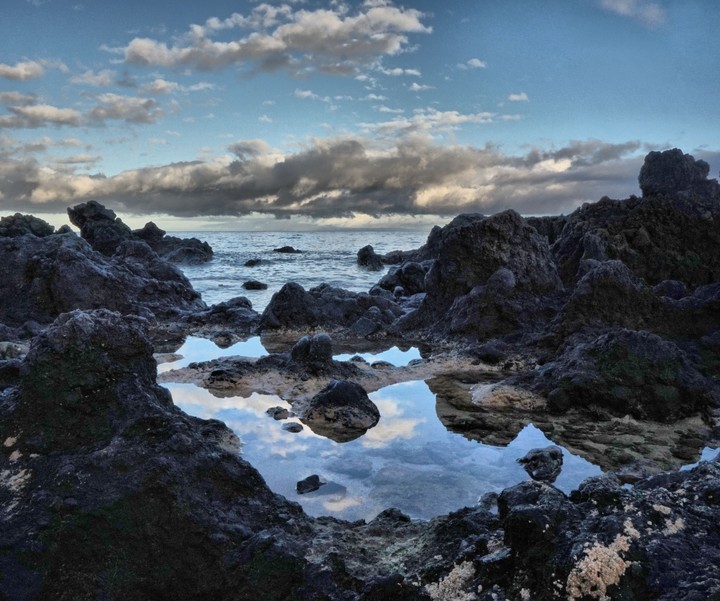 Tide pool reflections