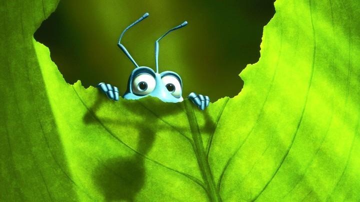 A BUGS LIFE movie movies        fs 1920x1080