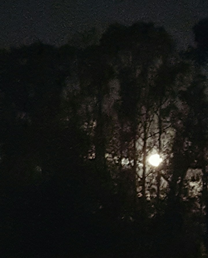 full moon