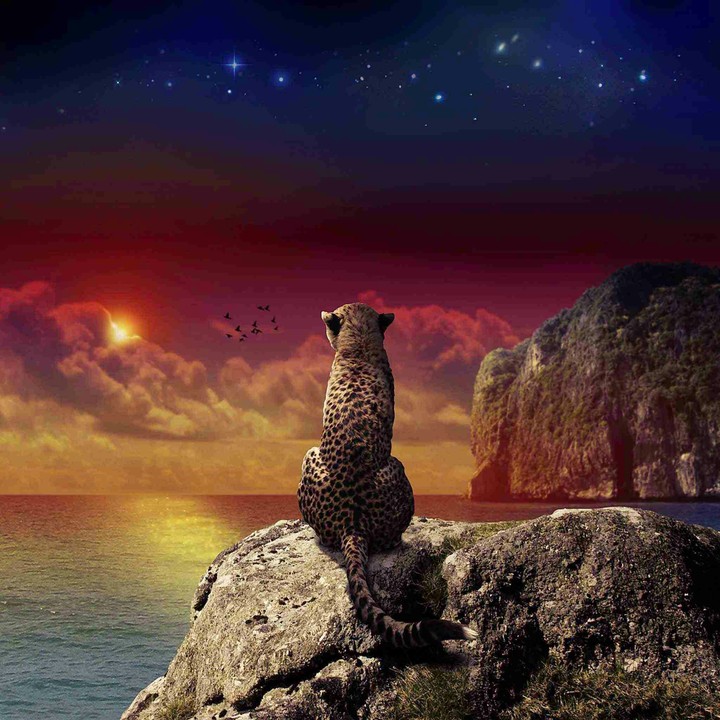 HD wallpapers