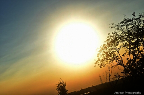 Sunset Drive
