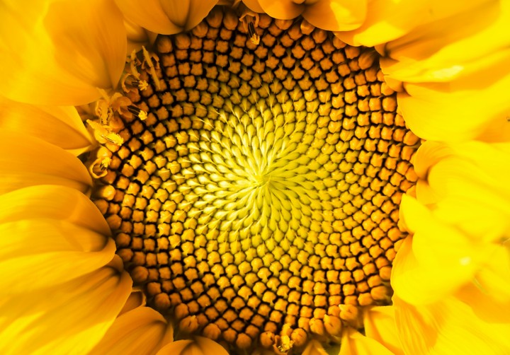 Pattern.