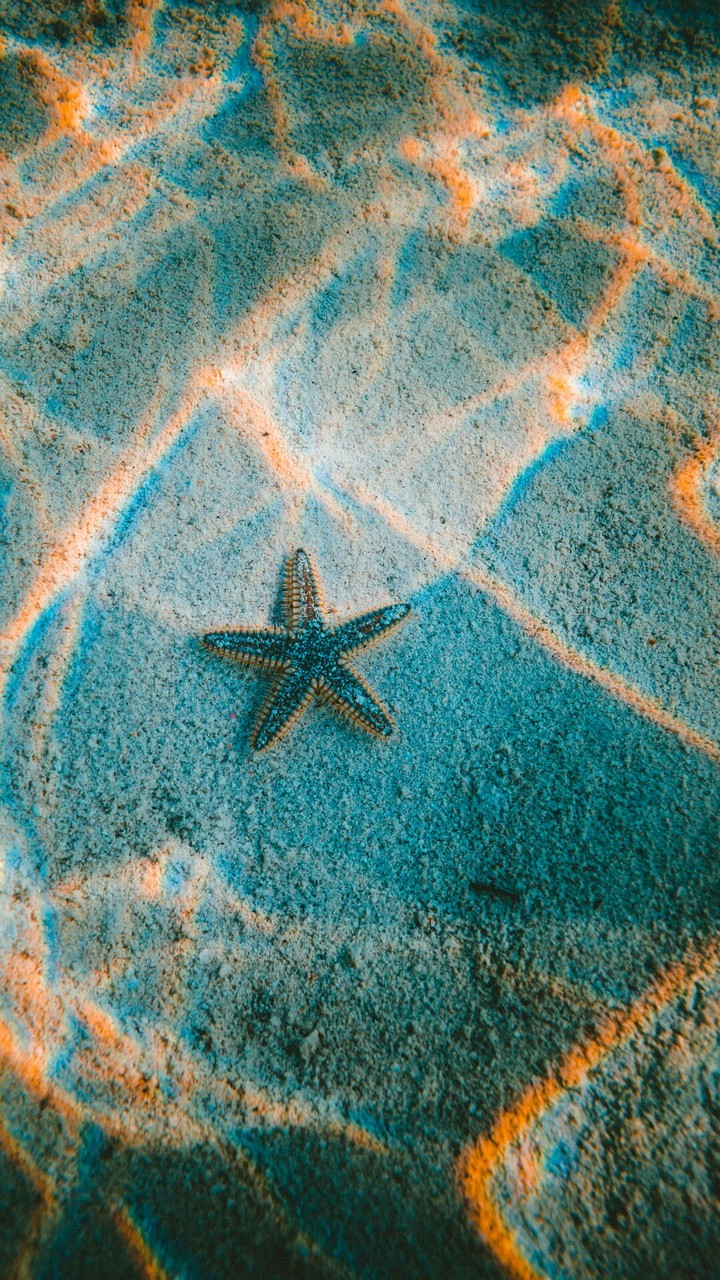 star sea