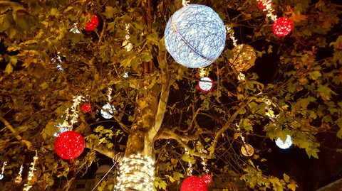 christmas night