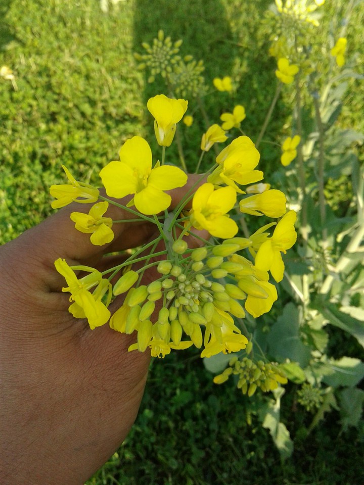 beauty of nature