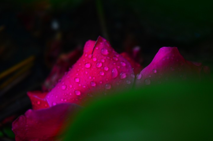 droplets