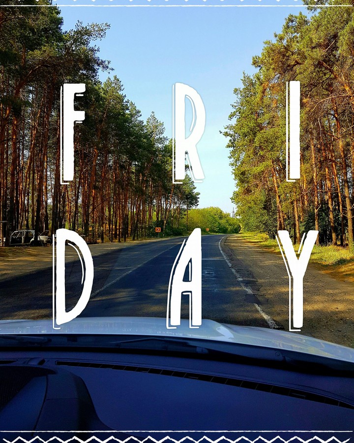 friday forest road
