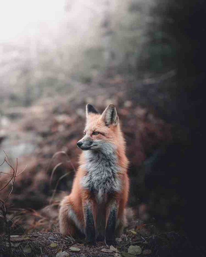 в