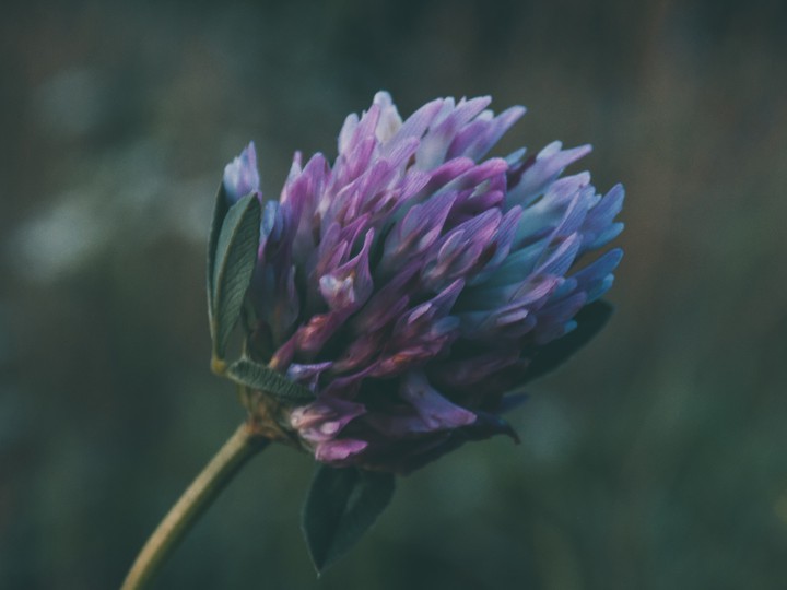 ph: Вика