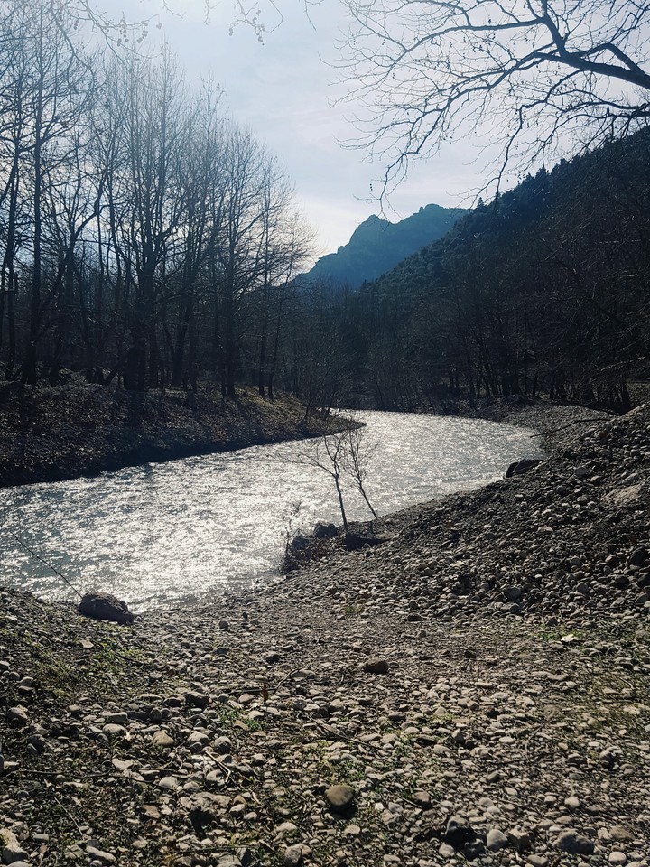 river, water, nature, winter, tree