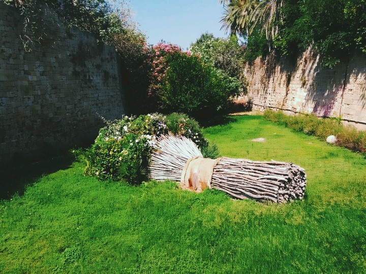 Rhodes