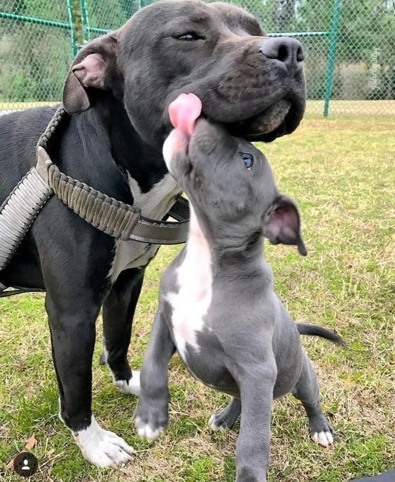 ♥️♥️♥️