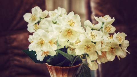 шпалери Bouquet, window