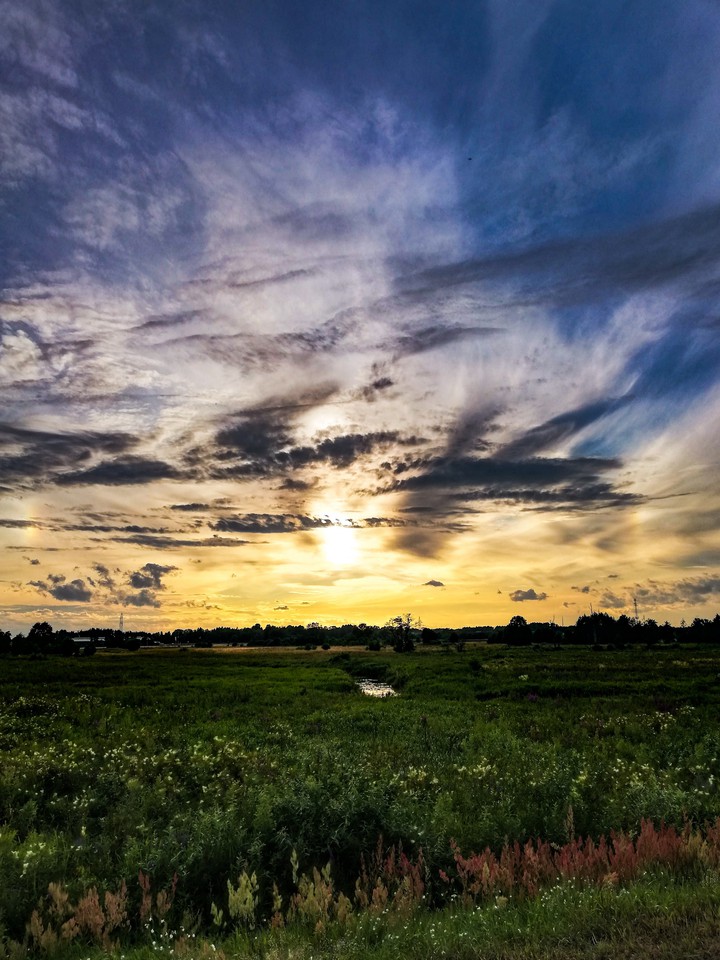 Nature