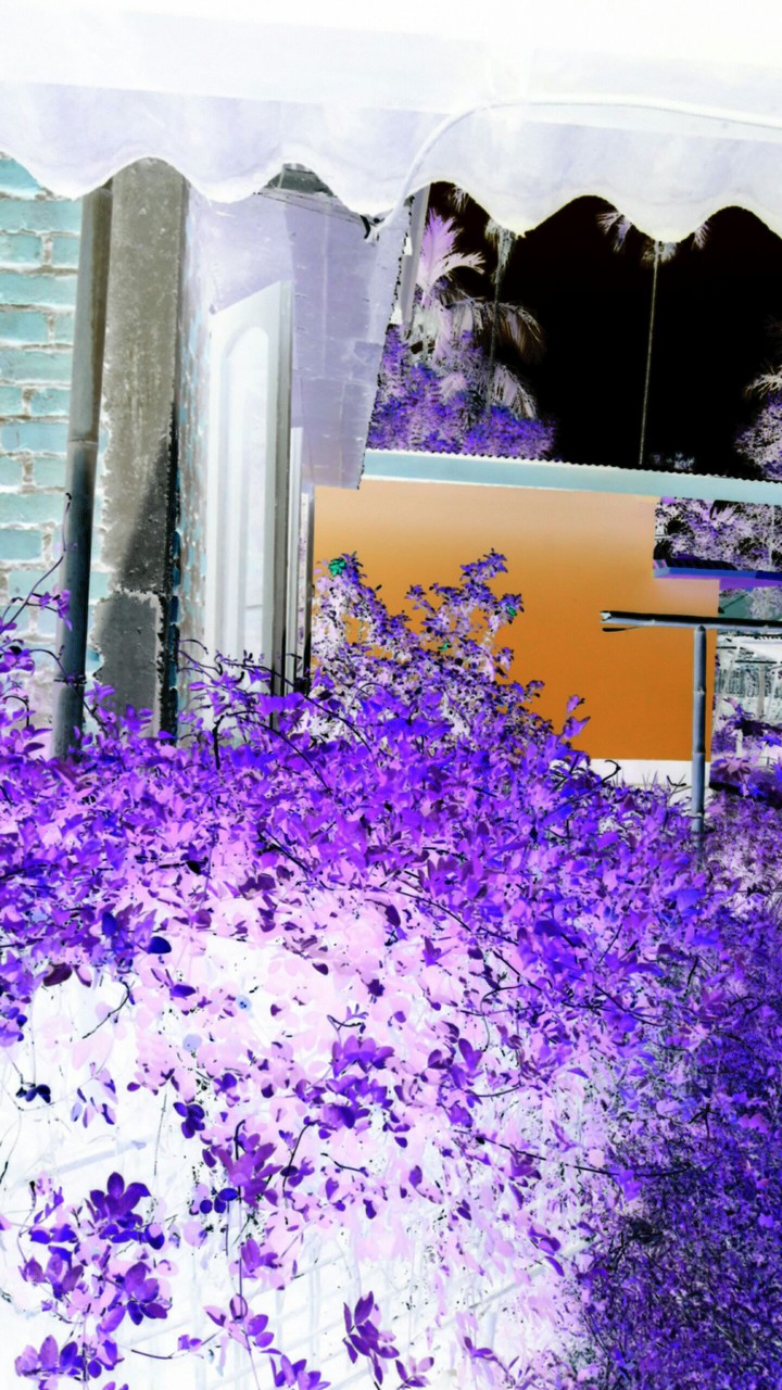 negative