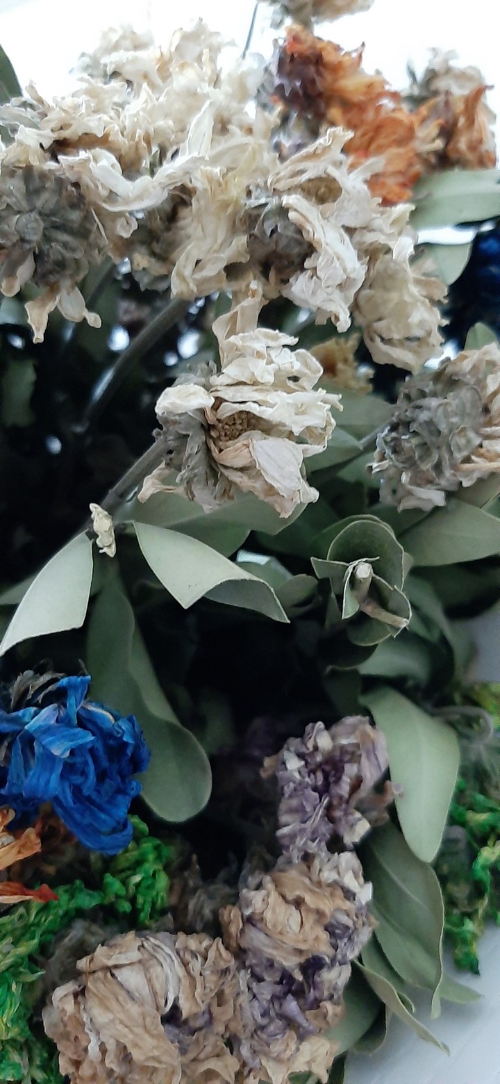 dryflower