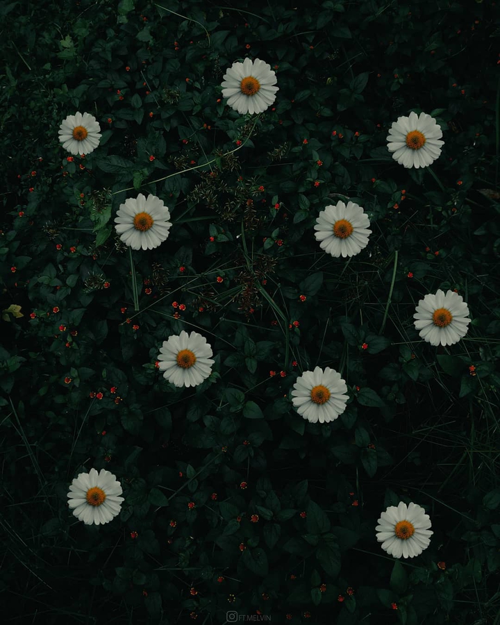 23/06/2021⚘