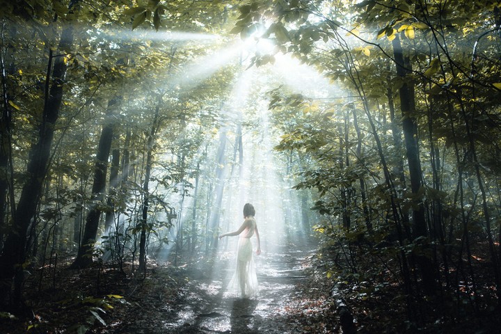 laby alone in forest