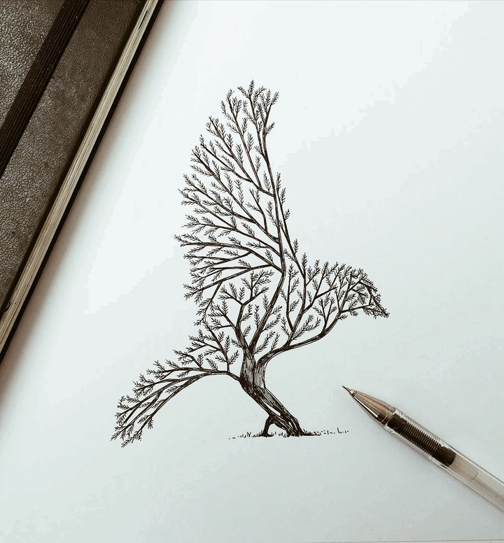 BİRD ART