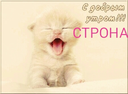 ^-^