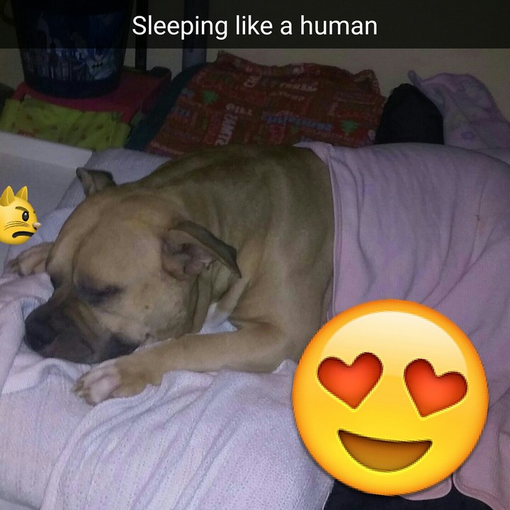 aww
