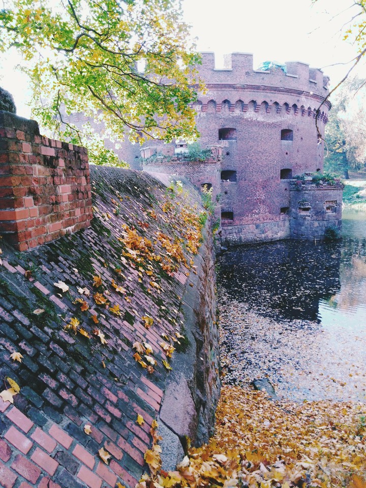 Калининград