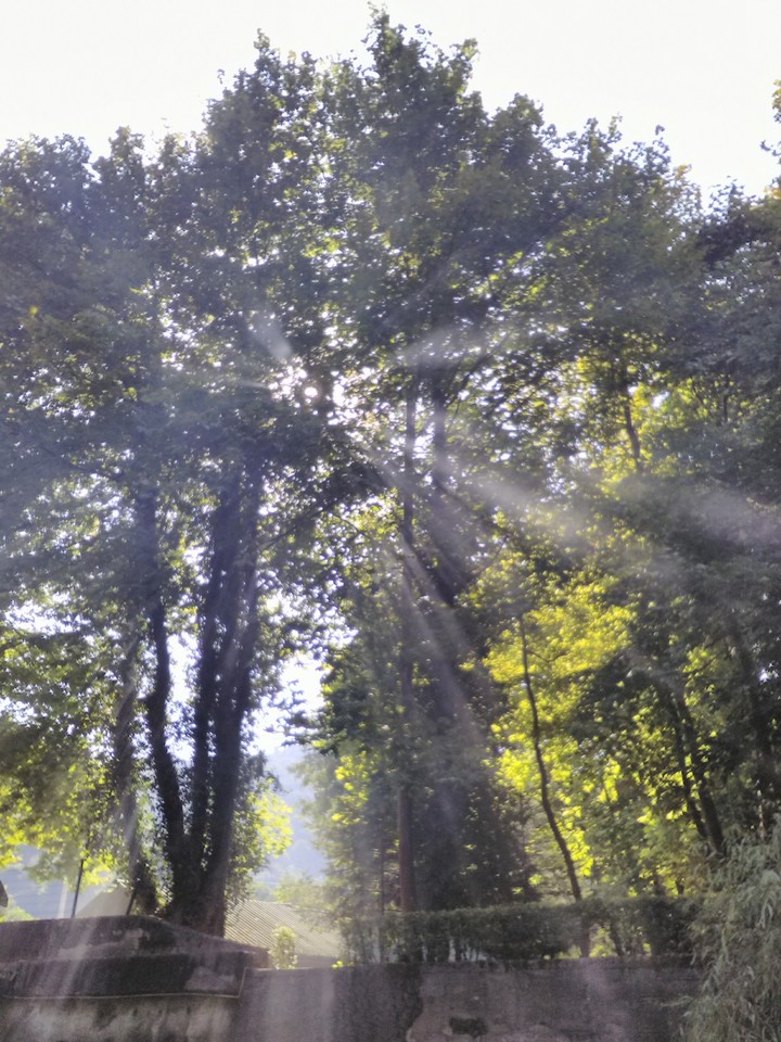 Hopeful Ligth