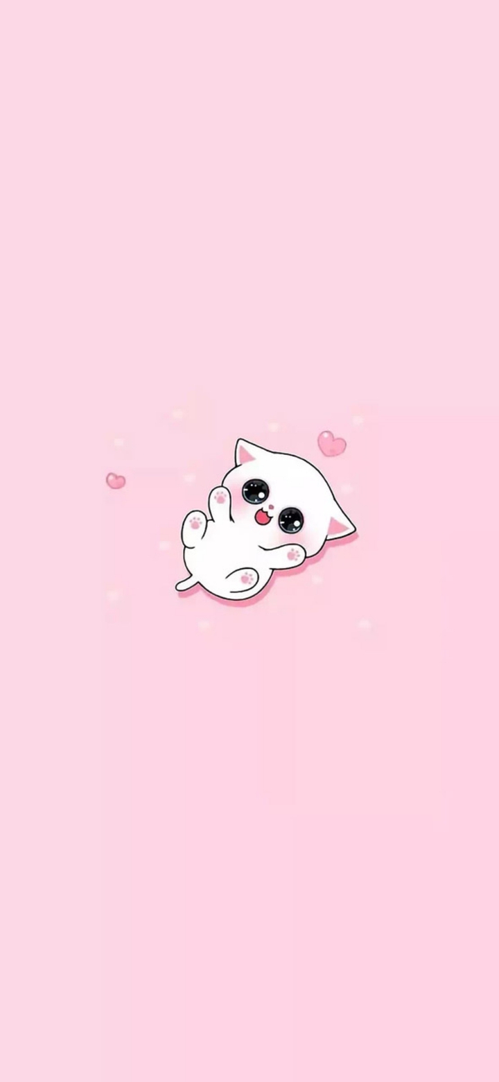 ✨