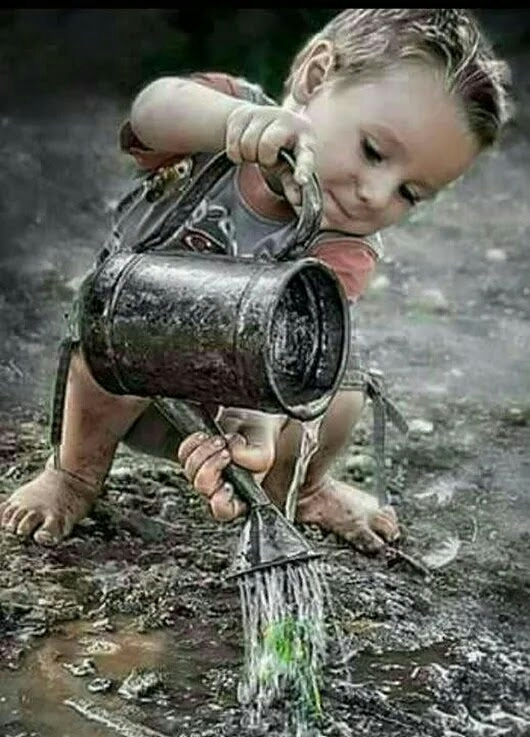.