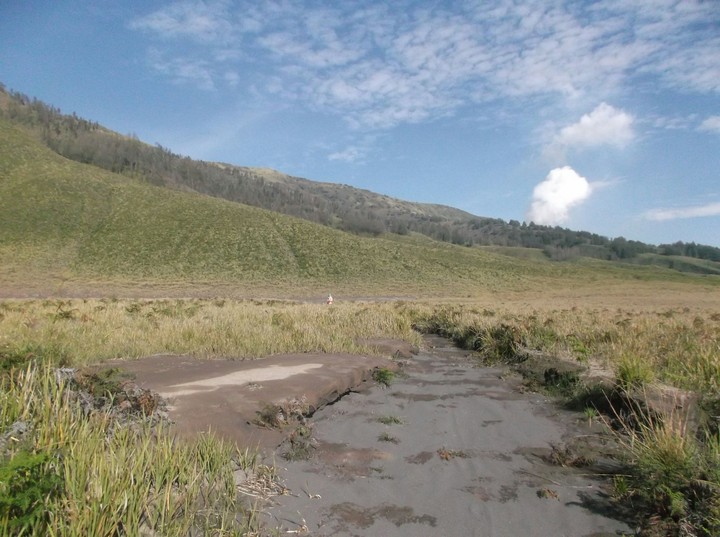 Bromo