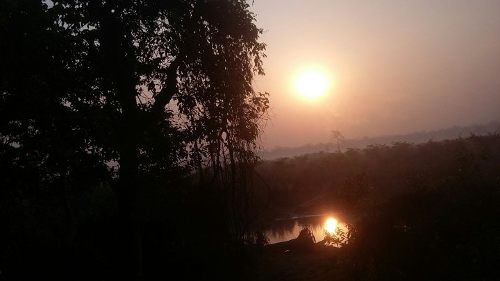#Dooars #jungle